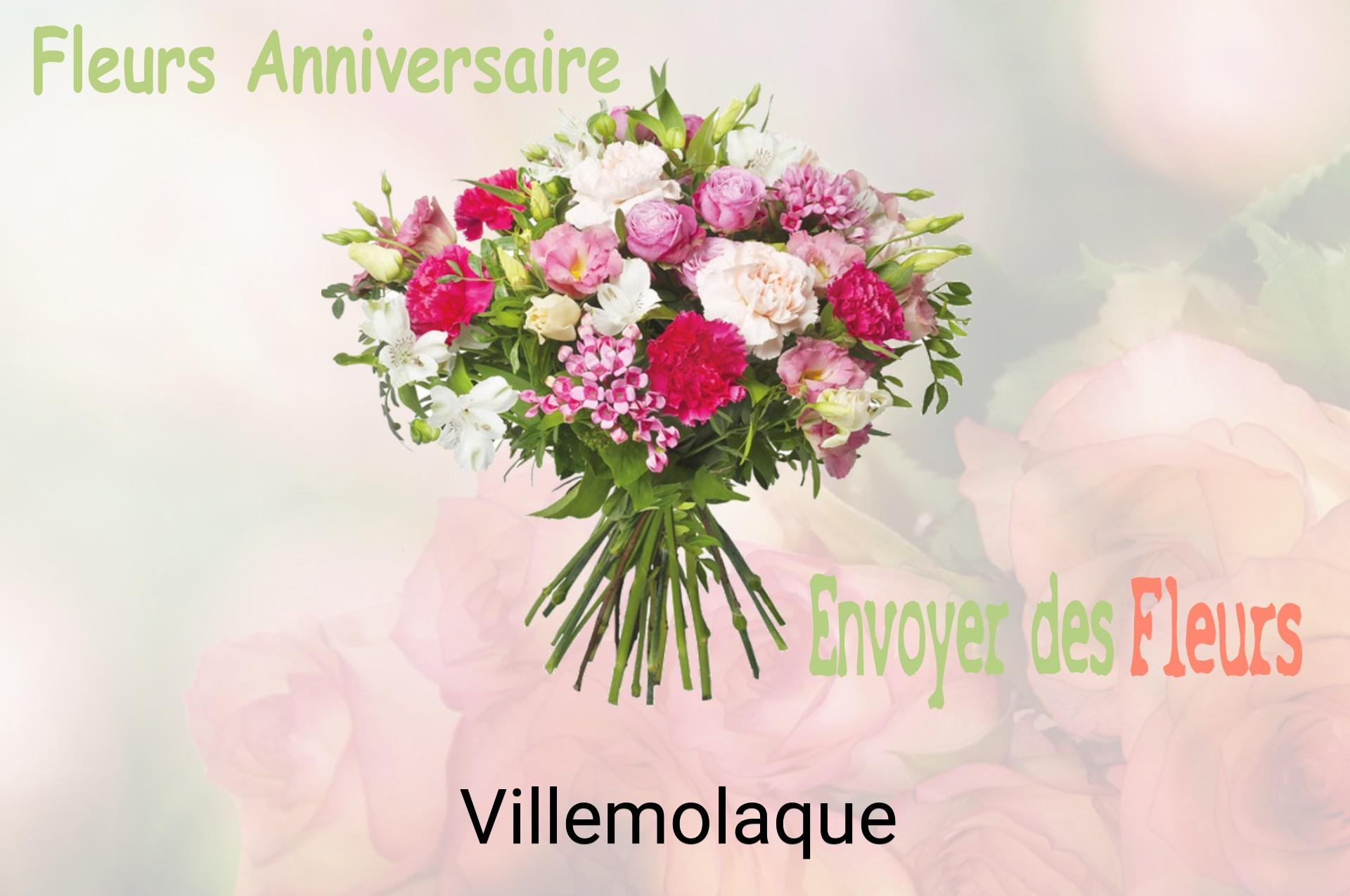 Bouquet de fleurs d’anniversaire livré à Villemolaque