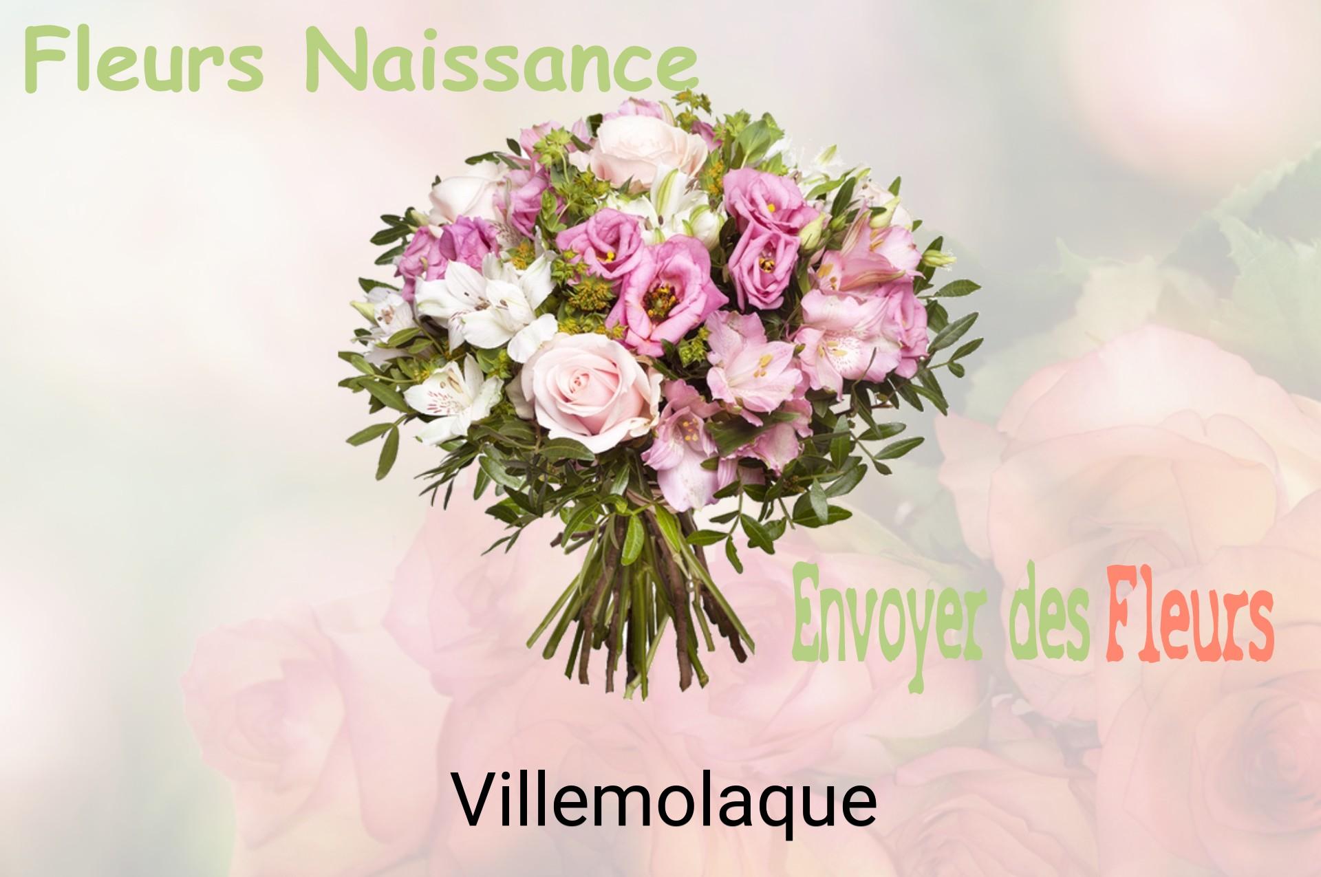Bouquet de fleurs de naissance livré à Villemolaque