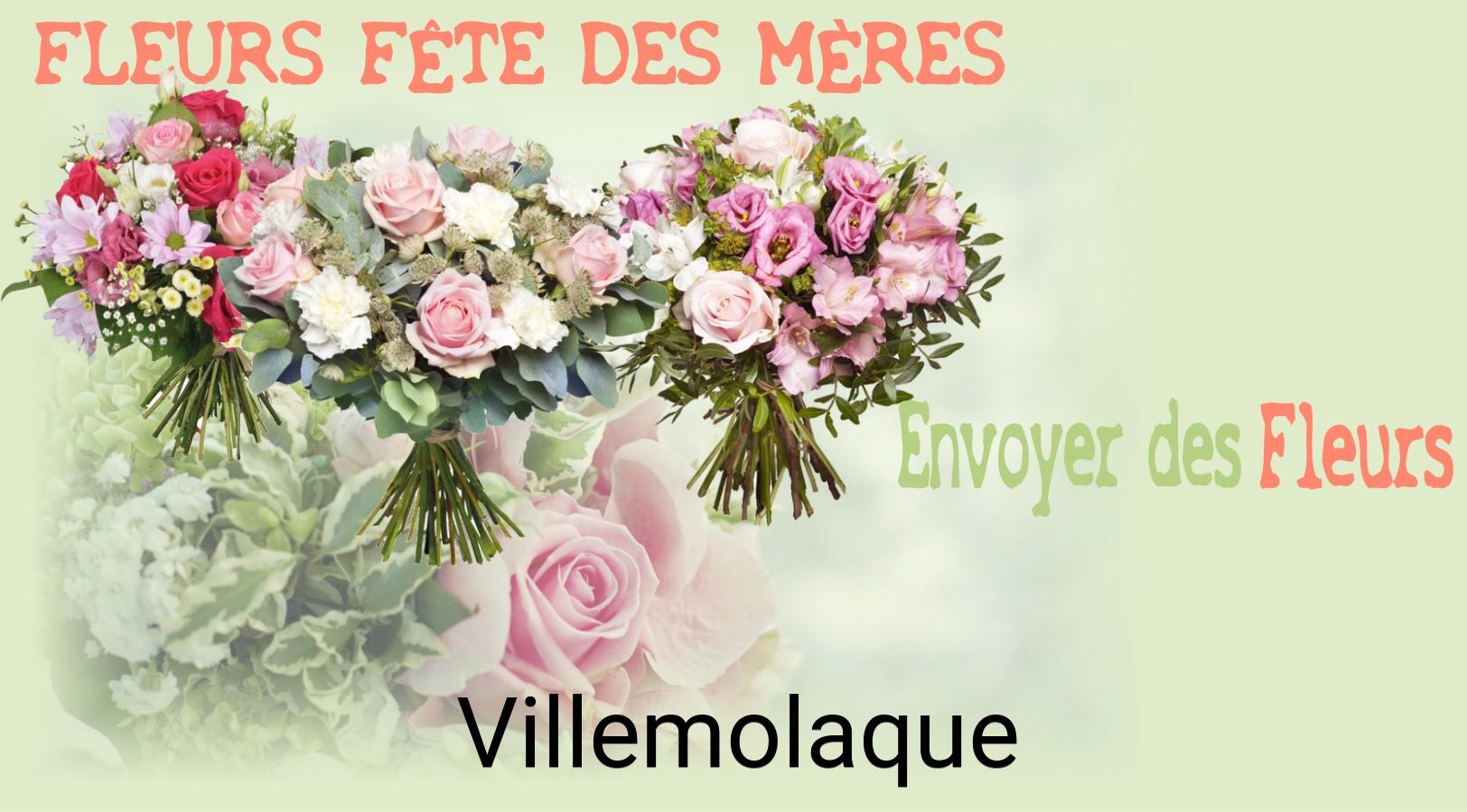 Bouquet de Fête des Mères livré à Villemolaque